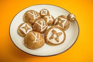 Novoluní ve Lvu: Čas pro vaši kreativitu