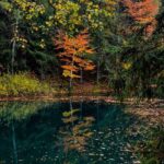 Klouby bez bolesti: Léčivé kameny jako řešení