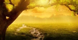 Danburit: Světelný kámen pro klid a duchovní růst