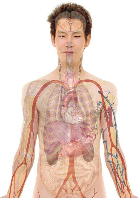 Čakry a orgány: Jak udržet tělo a duši v rovnováze