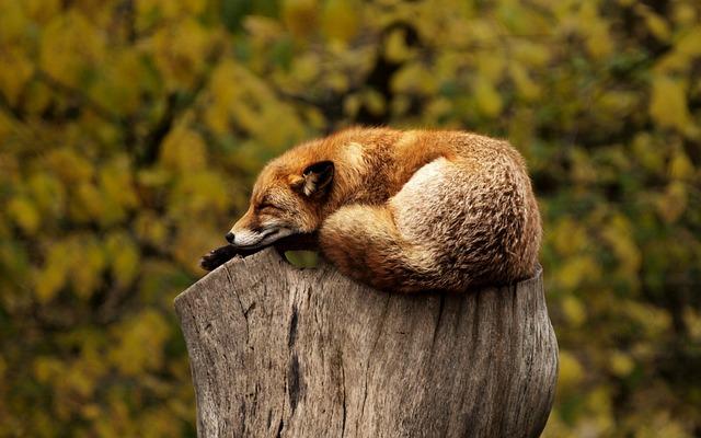 Doporučené postupy pro relaxační a čistící koupele s léčivými kameny